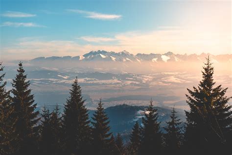 Green Pine Trees Landscape Nature Forest Mountains Clouds Far View