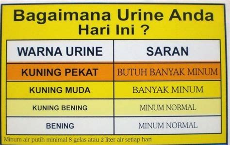 Maybe you would like to learn more about one of these? Jenis Warna Air Kencing Yang Menerangkan Kesihatan Tubuh ...