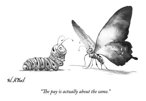 A Butterfly Talks To A Caterpillar Drawing By Will McPhail Cartoon