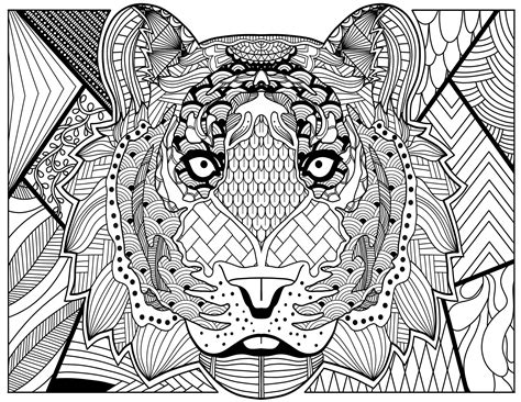Highly Detailed Adult Zen Coloring Pages 20 Pages Etsy Uk