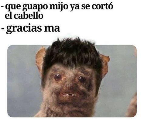 Que Guapo Funny Spanish Memes Memes Funny Memes
