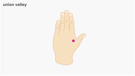 6 Pressure Points For Anxiety Relief Tipsbook