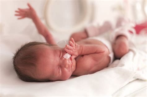Any neonate weighing less than. How do those born preterm at very low birth weight fare as ...
