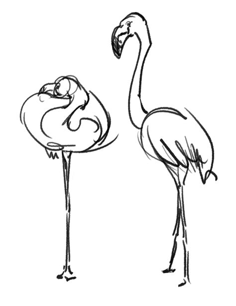*note* the prints in the example photos are low. Flamingo Drawing at GetDrawings | Free download