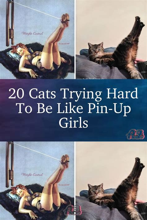 20 Cats Trying Hard To Be Like Pin Up Girls Artofit