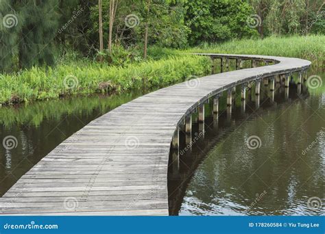 Bridge Over River In Forest Stock Photo Image Of Perspective Marsh