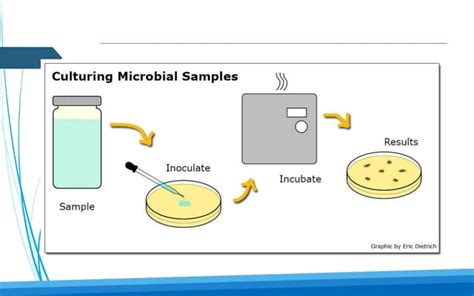 Pharmaceutical Microbiology Ppt