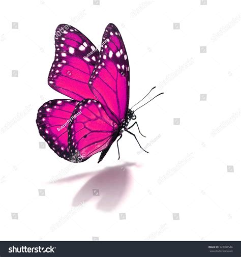 Beautiful Pink Monarch Butterfly Isolated On Stock Photo 323984546