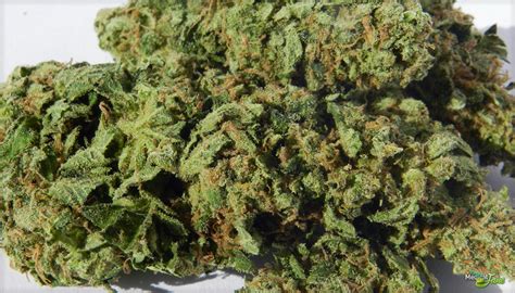 Mp5 blowback (g&g) #18 *special order*. Sour Jack Strain Review - I Love Growing Marijuana