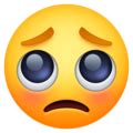 This emoji shows a face with furrowed eyebrows, a small frown, and large glassy eyes. 🥺 Pleading Face Emoji