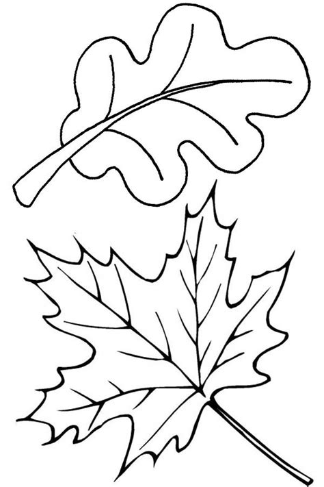 Autumn Leaves In Autumn Coloring Page : Color Luna