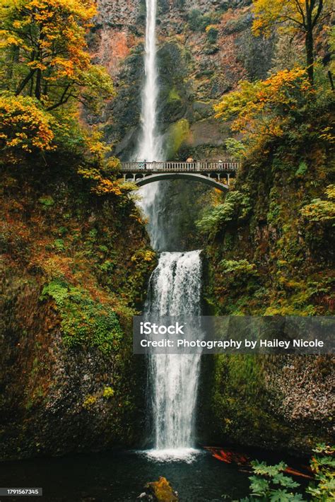 Multnomah Falls Oregon Stock Photo Download Image Now Autumn