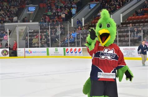 K Wings Mascot Slappy Has Been Fired New Slappy Being Sought
