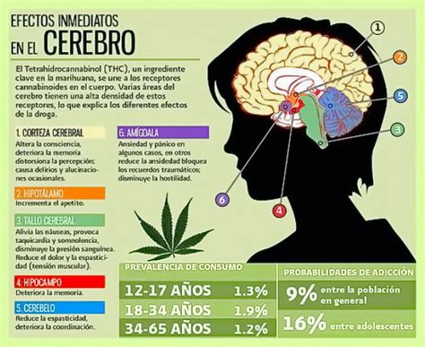 PSICOLOGOS TERUEL Cómo afecta el cannabis a nuestro cerebro