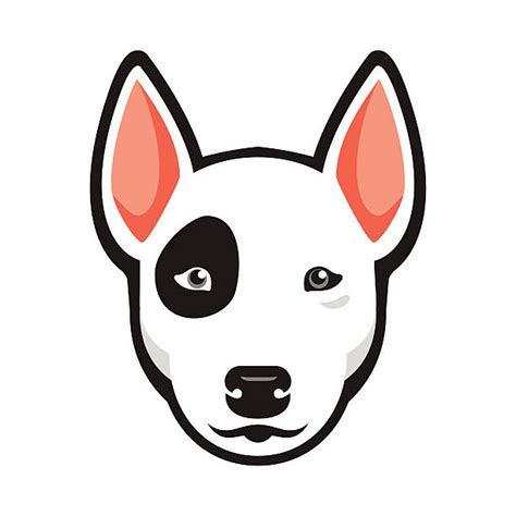 Royalty Free Bull Terrier Clip Art Vector Images And Illustrations Istock