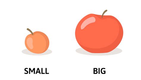 Words Small And Big Flashcard With Cartoon Red Apple Opposite