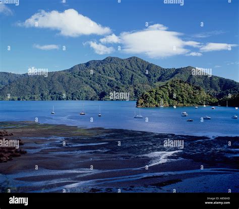 New Zealand Queen Charlotte Sound Coast View Stock Photo Alamy