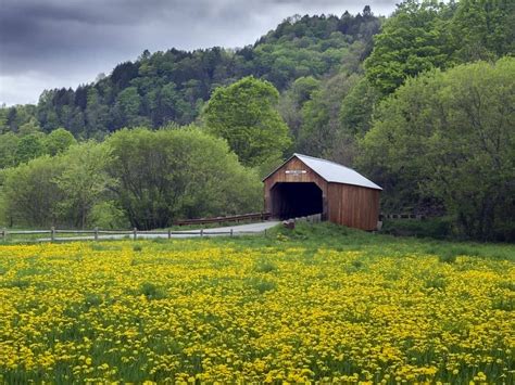 Its Spring In New England Here Are 7 Of The Best New England