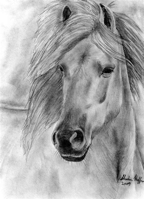 Wild Horse By Farfinmosker On Deviantart Pencil Drawings Of Animals