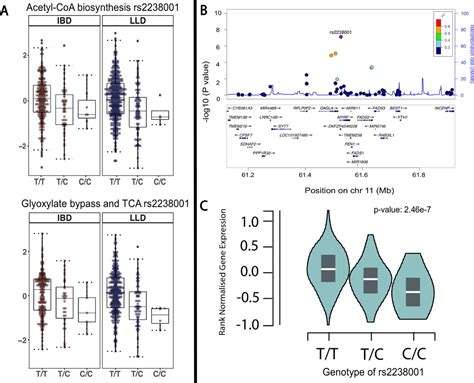 Whole Exome Sequencing Analyses Reveal Genemicrobiota Interactions In