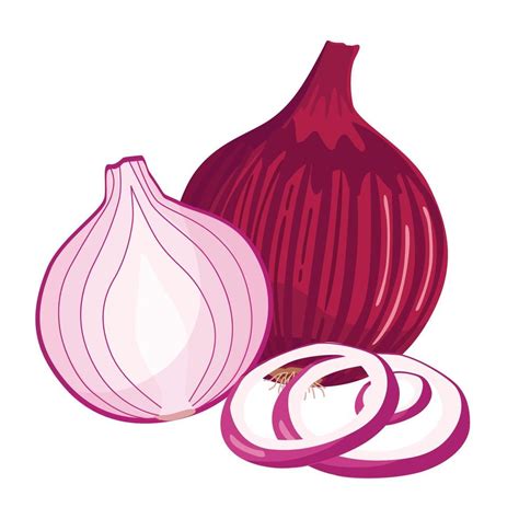 Ilustraci N De Dibujos Animados De Cebolla Vegetal The Best Porn Website