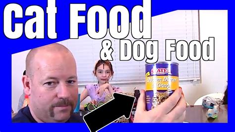 Just as it's dangerous to feed only cat food to dogs, cats cannot survive on dog food alone. EAT IT OR WEAR IT - Cat Food & Dog Food - YouTube