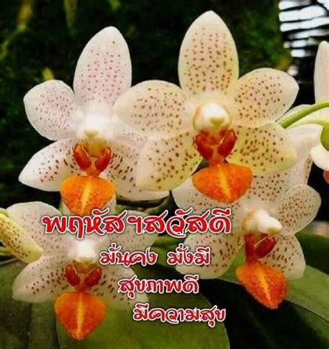 Some White And Orange Flowers With Words In Thai Writing On The Bottom