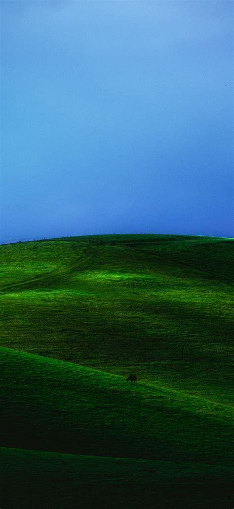 Green Meadow Wallpaper 4k Grass Field Blue Sky Foggy Landscape