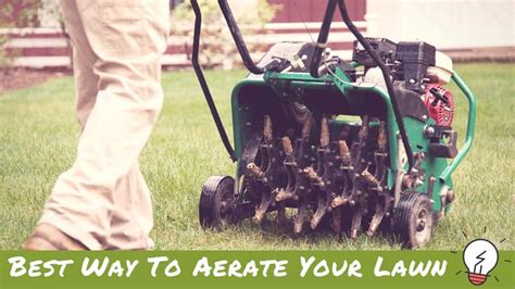 How Often Should You Aerate Your Lawn