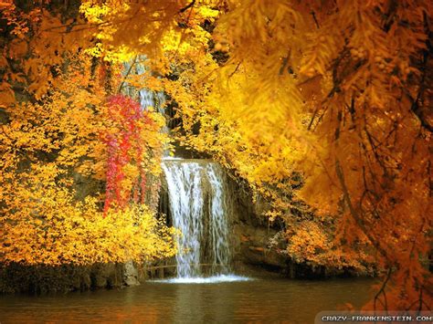 Free Desktop Wallpaper Autumn Scenes Wallpapersafari Waterfall