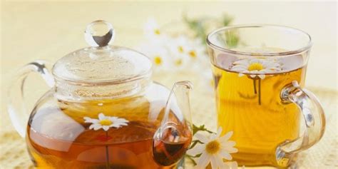 We did not find results for: Aneh Unik Keren: 5 Jenis Teh Herbal Yang Menarik Untuk di Coba