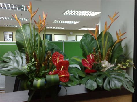 Hiasan pentas hiasan pentas yang menarik dengan menggabungkan tanaman hiasan pelbagai warna sama ada daun atau bunga yang berwarna. memory to remember: Perkhidmatan Perkahwinan