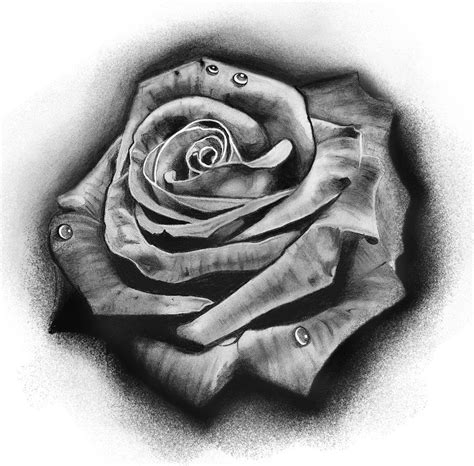 Tattoo Design On Deviantart Rose