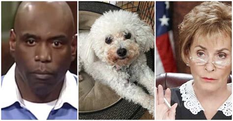 Maybe you would like to learn more about one of these? Judge Judy Lets Dog Make His Choice In Custody Dispute