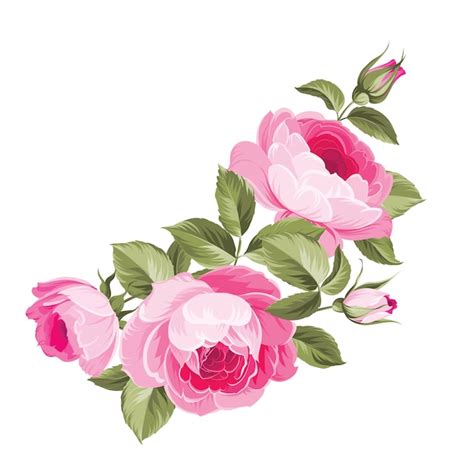 Illustration Of Pink Flowers Vector Premium Download