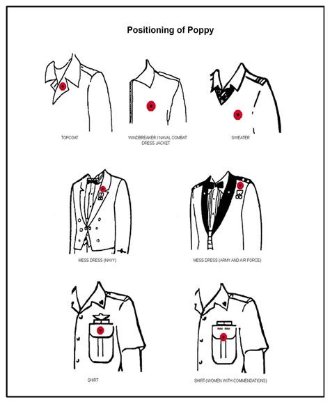 Remembrance Day Is Coming Guide On How To Wear Your Poppy Coolguides