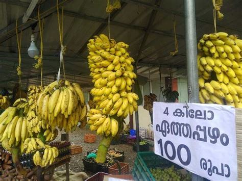India Banana Farmers In Kerala Battle Low Retail Prices India Gulf News