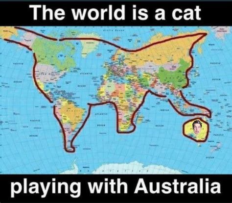 The Whole World Is A Cat Playing With Australia Lazarbeamsubmissions