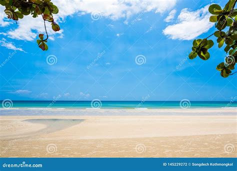 Sand Beach And Blue Sky Background Stock Photo Image Of Island