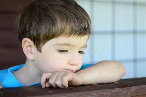 8188 Wistful Stock Photos Free And Royalty Free Stock Photos From