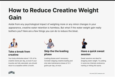 Creatine Weight Gain Is It Fat Water Retention Or Lean Muscle Levels