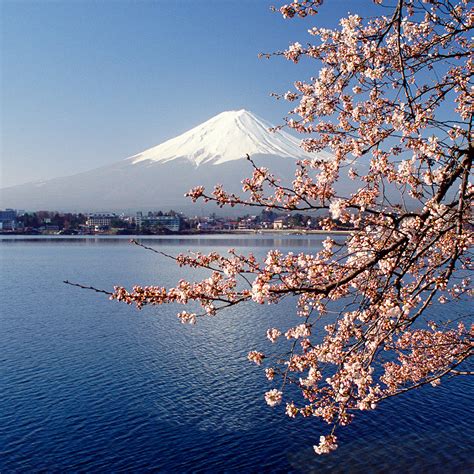 Japan Holidays Packages And Deals 2015 Flight Centre