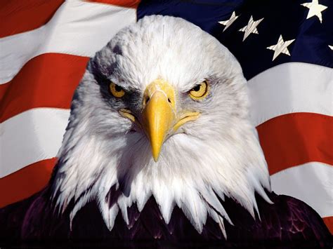 🔥 49 American Flag With Eagle Wallpaper Wallpapersafari