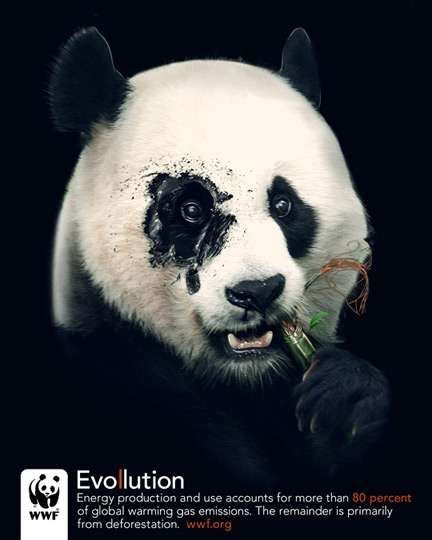 Toxic Animal Ads The Wwf Evollution Campaign Looks To Send A Clear