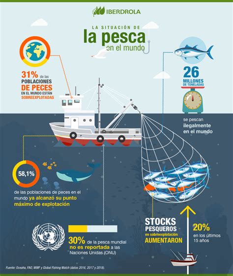 Qué Es La Pesca Sostenible Y Su Importancia Iberdrola