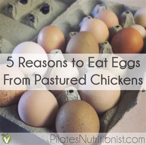5 Reasons To Eat Real Eggs From Pastured Chickens Lily Nichols Rdn