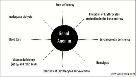 Renal Anemia We Care