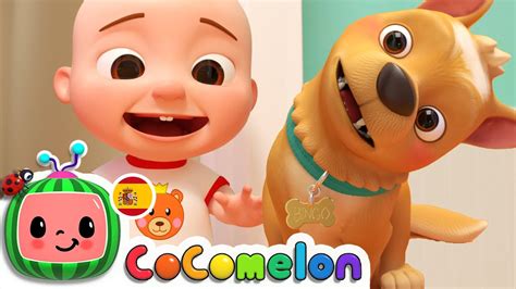 Cocomelon En Español Mi Perro Bingo Canciones Infantiles Youtube