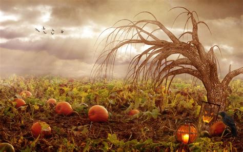 Pumpkin Farm Wallpapers Wallpaper Cave