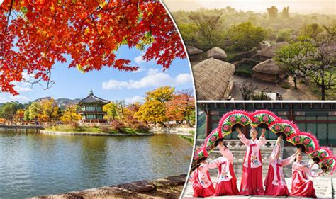 Would You Dare Go To South Korea On Holiday Travel News Travel